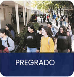 Pregrado