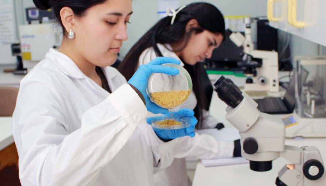 Ingeniería en Biotecnología