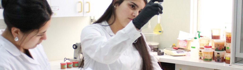 Carreras de las Ciencias y Tecnologías